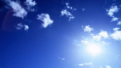 78247383 4