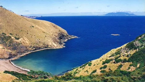 Great barrier island 2