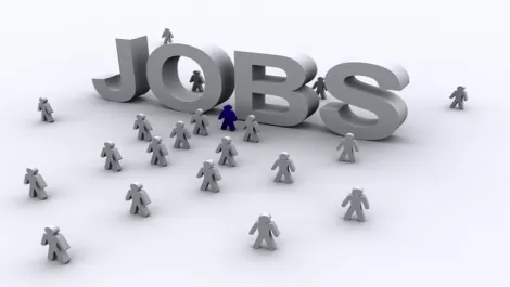 Job search sites