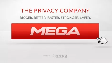 Mega image 1