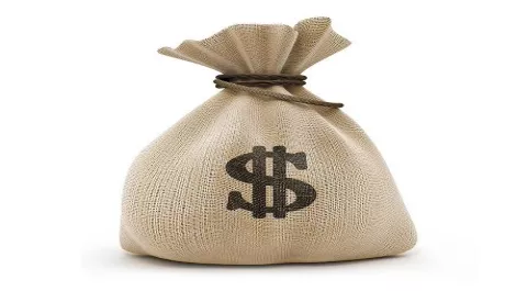 Money bag