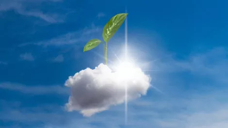 Cloud growth01