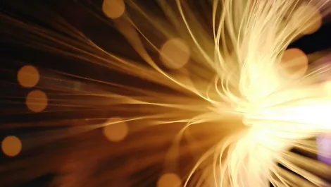 Fibre