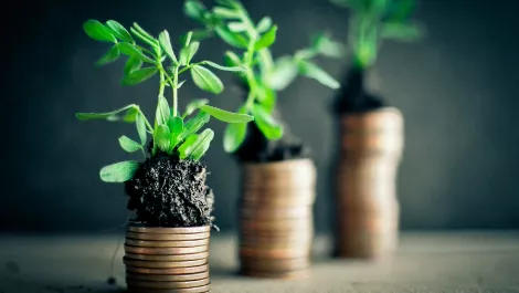 Money growth