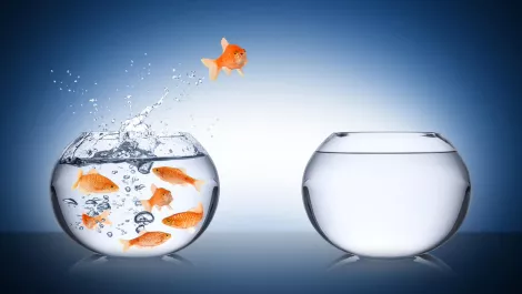 Thinkstockphotos 477282161
