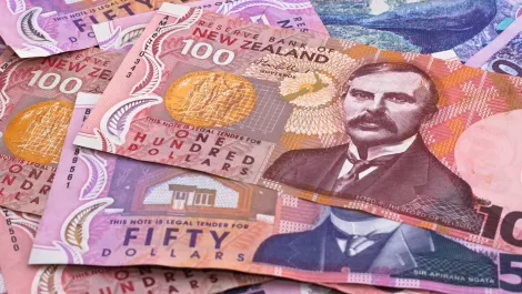 Nz 1