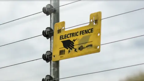 Ps fortified   gallagher image4  1 